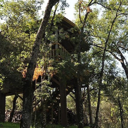 Los Nidos De Santa Maria Arroyo Frio Exteriör bild
