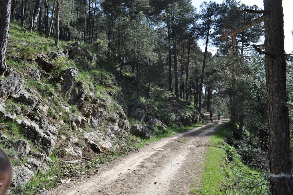 Los Nidos De Santa Maria Arroyo Frio Exteriör bild
